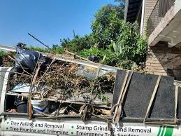 Best Hot Tub Removal  in College, AK