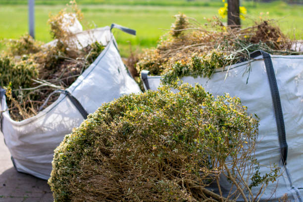 Best Construction Debris Removal  in College, AK